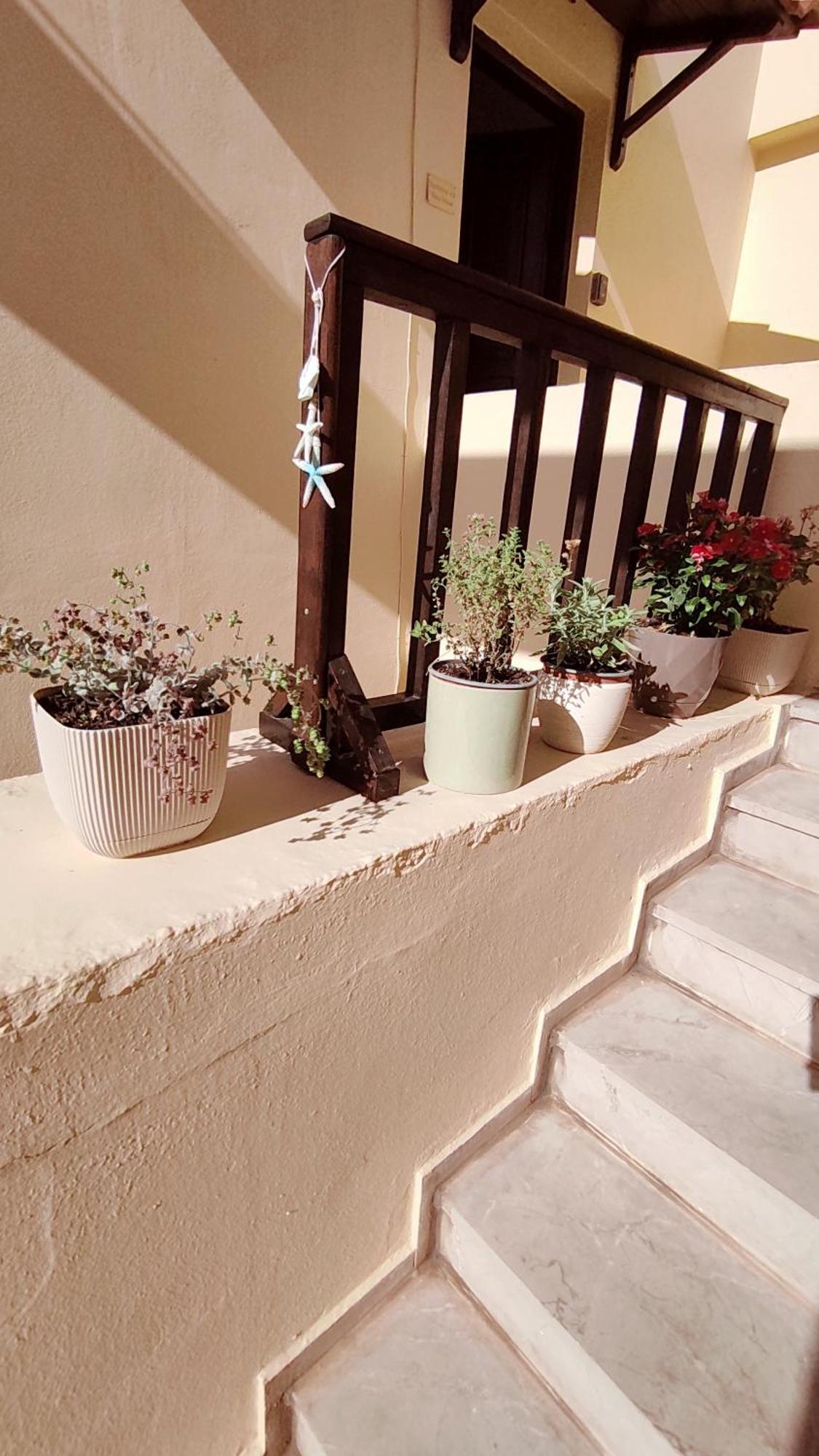Dedalos N3 Sea View Apartment-30 Metres From The Beach Stalida 외부 사진
