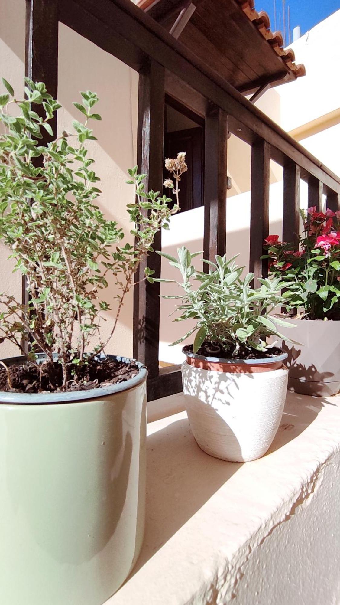 Dedalos N3 Sea View Apartment-30 Metres From The Beach Stalida 외부 사진